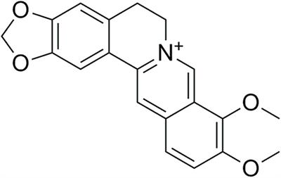 The antibacterial activity of berberine against Cutibacterium acnes: its therapeutic potential in inflammatory acne